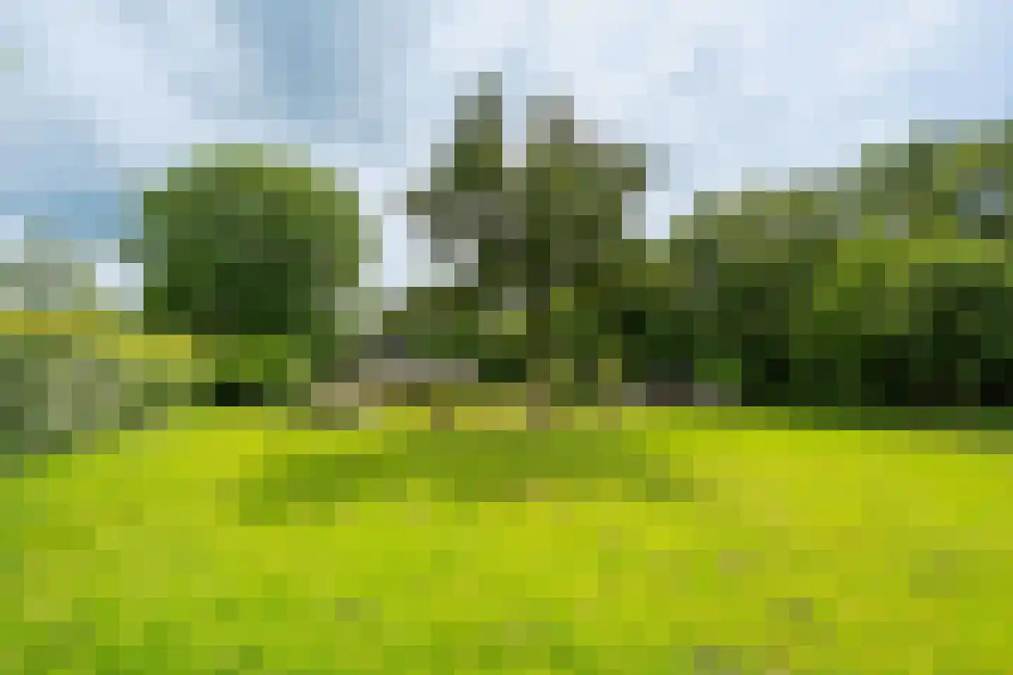 Bennekomseweg 147 Renkum thumbnail 61