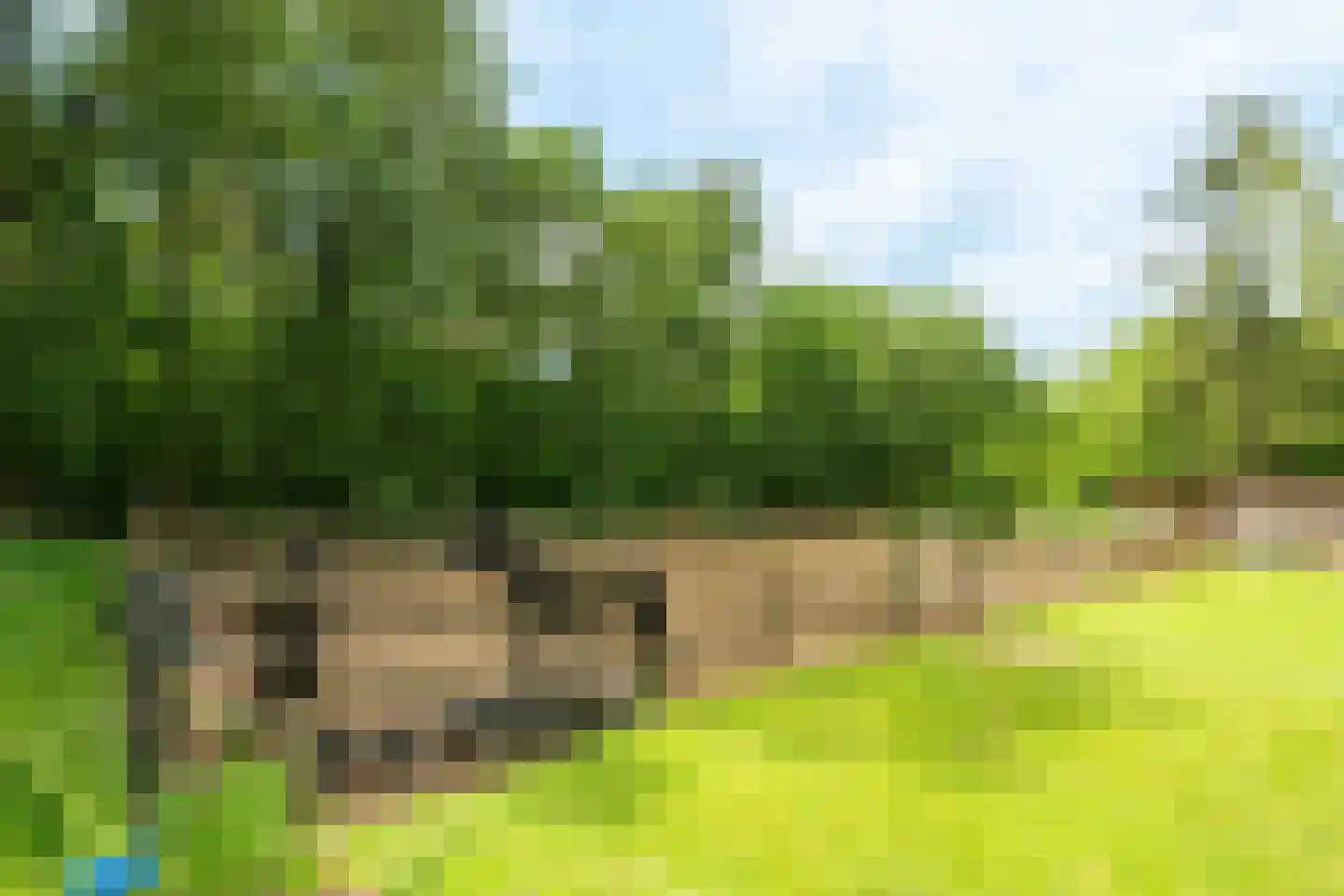 Bennekomseweg 147 Renkum thumbnail 62