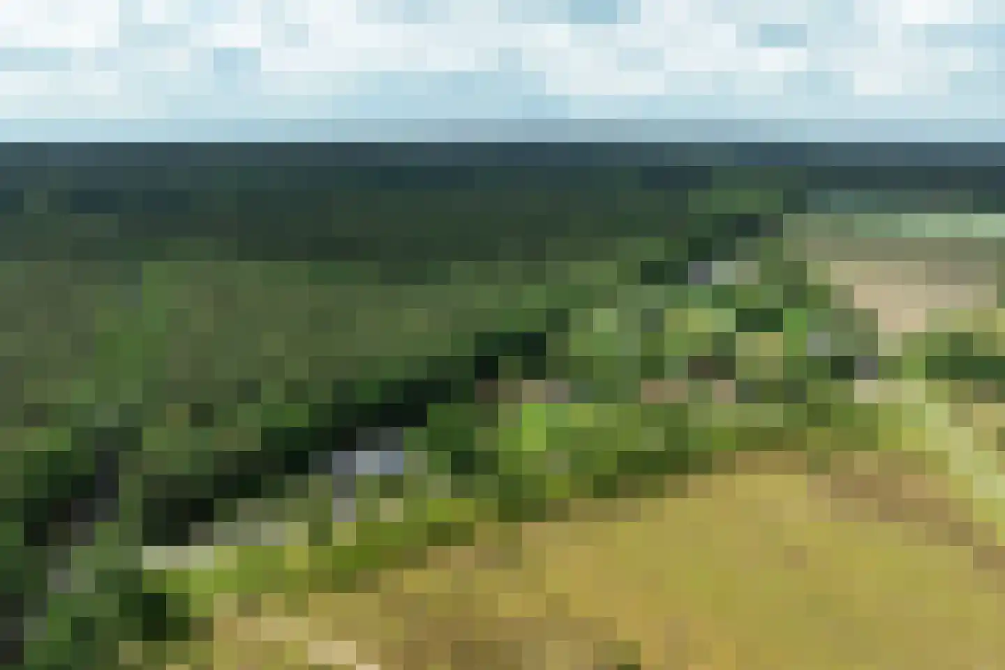 Bennekomseweg 147 Renkum thumbnail 66