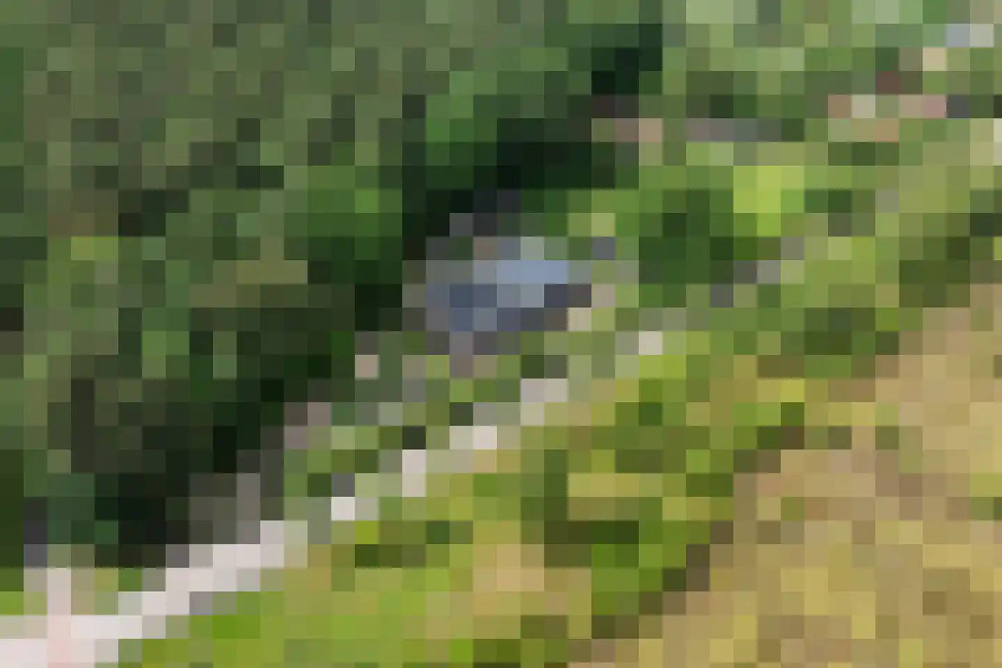 Bennekomseweg 147 Renkum thumbnail 67
