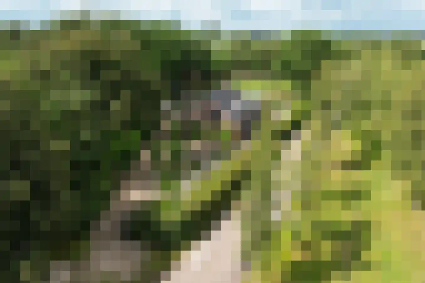Bennekomseweg 147 Renkum thumbnail 68