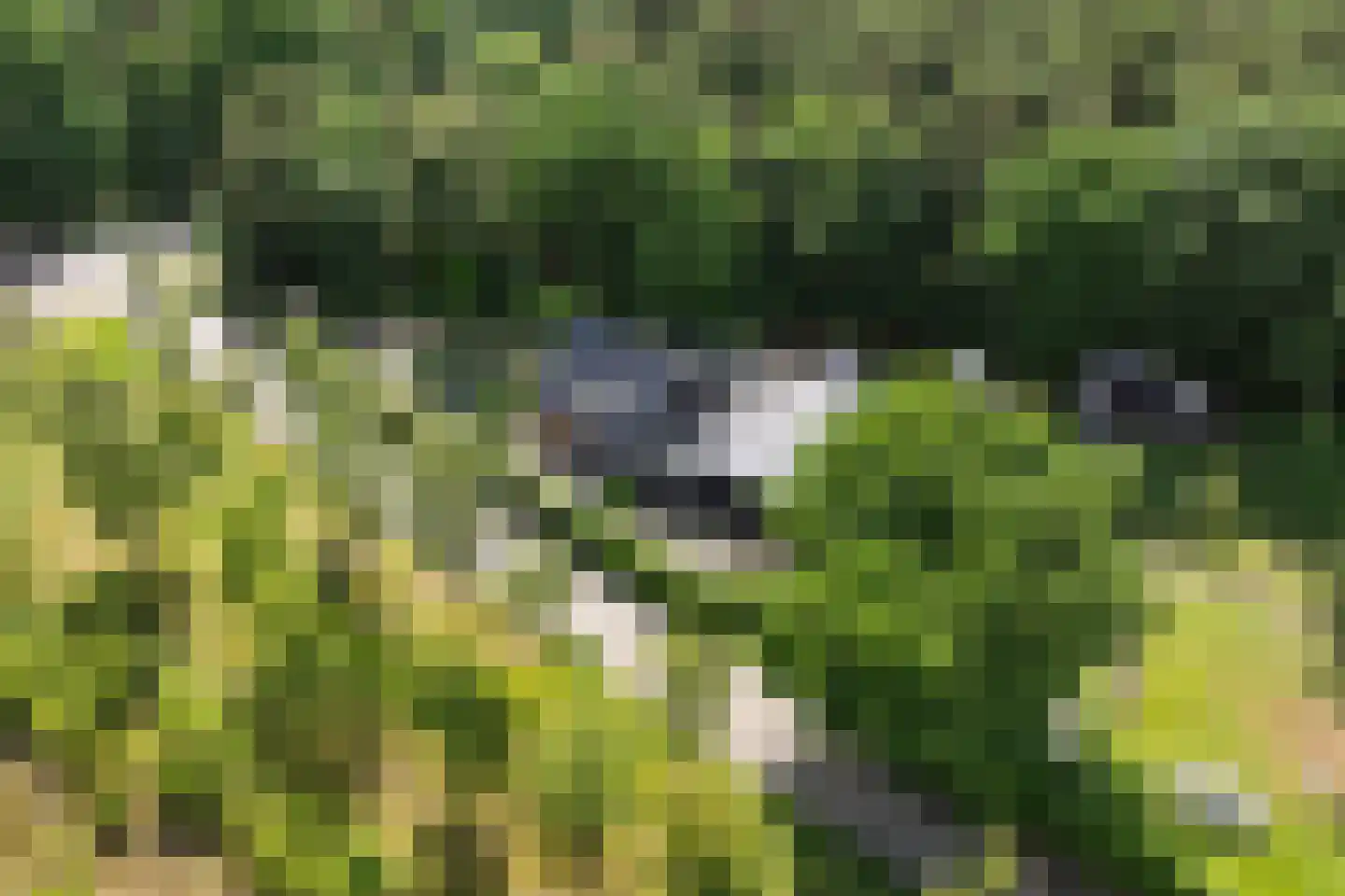 Bennekomseweg 147 Renkum thumbnail 69