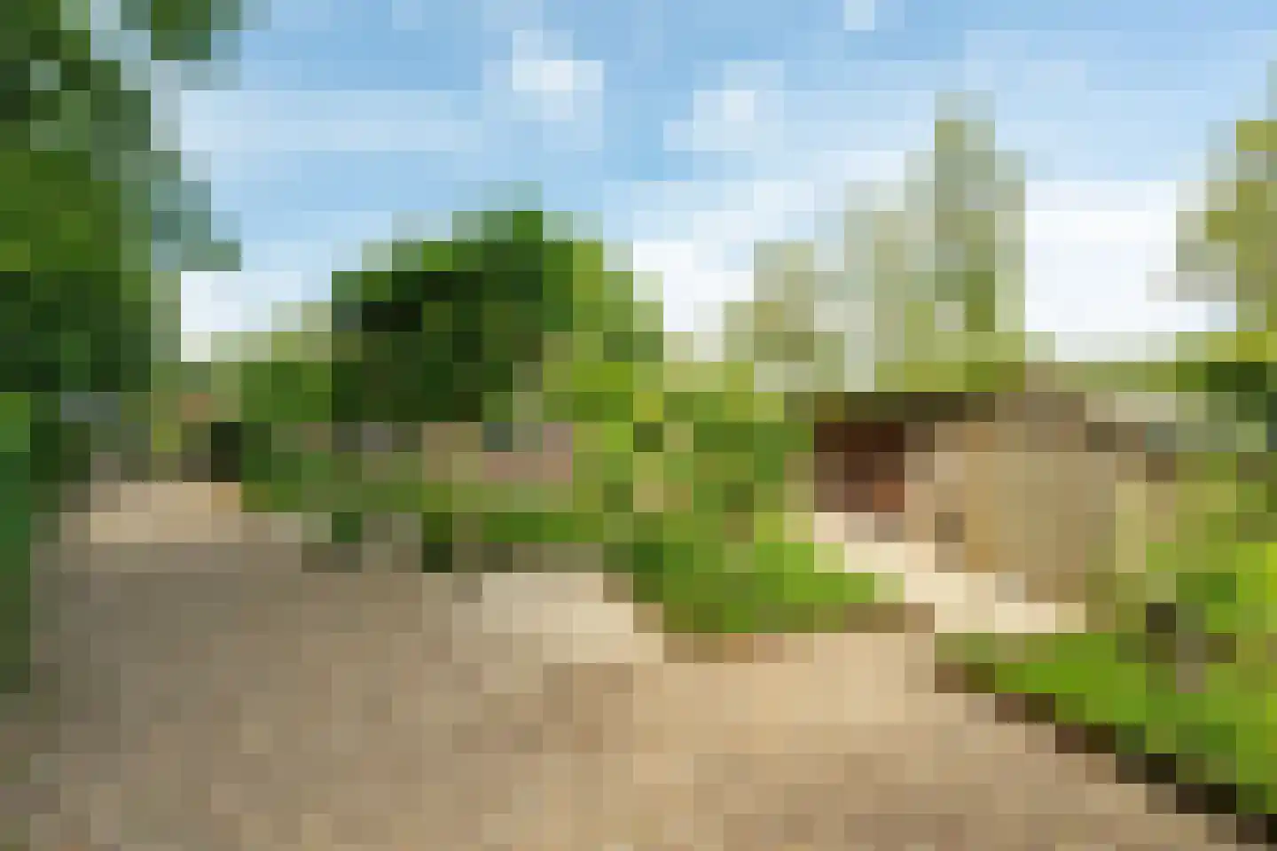 Bennekomseweg 147 Renkum thumbnail 7