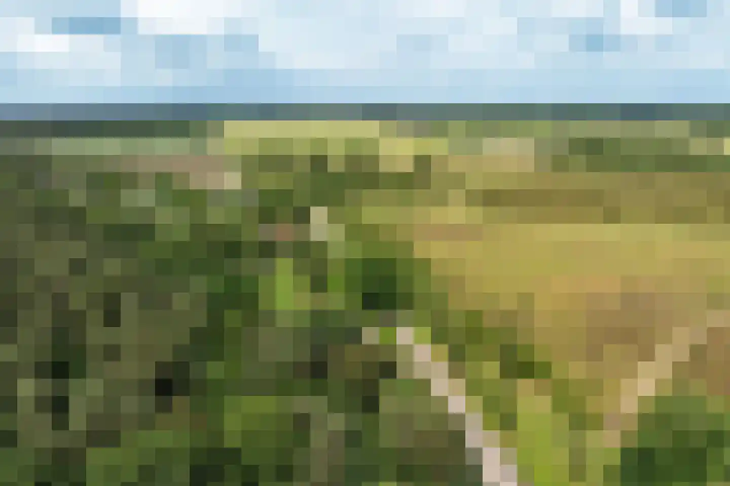 Bennekomseweg 147 Renkum thumbnail 70