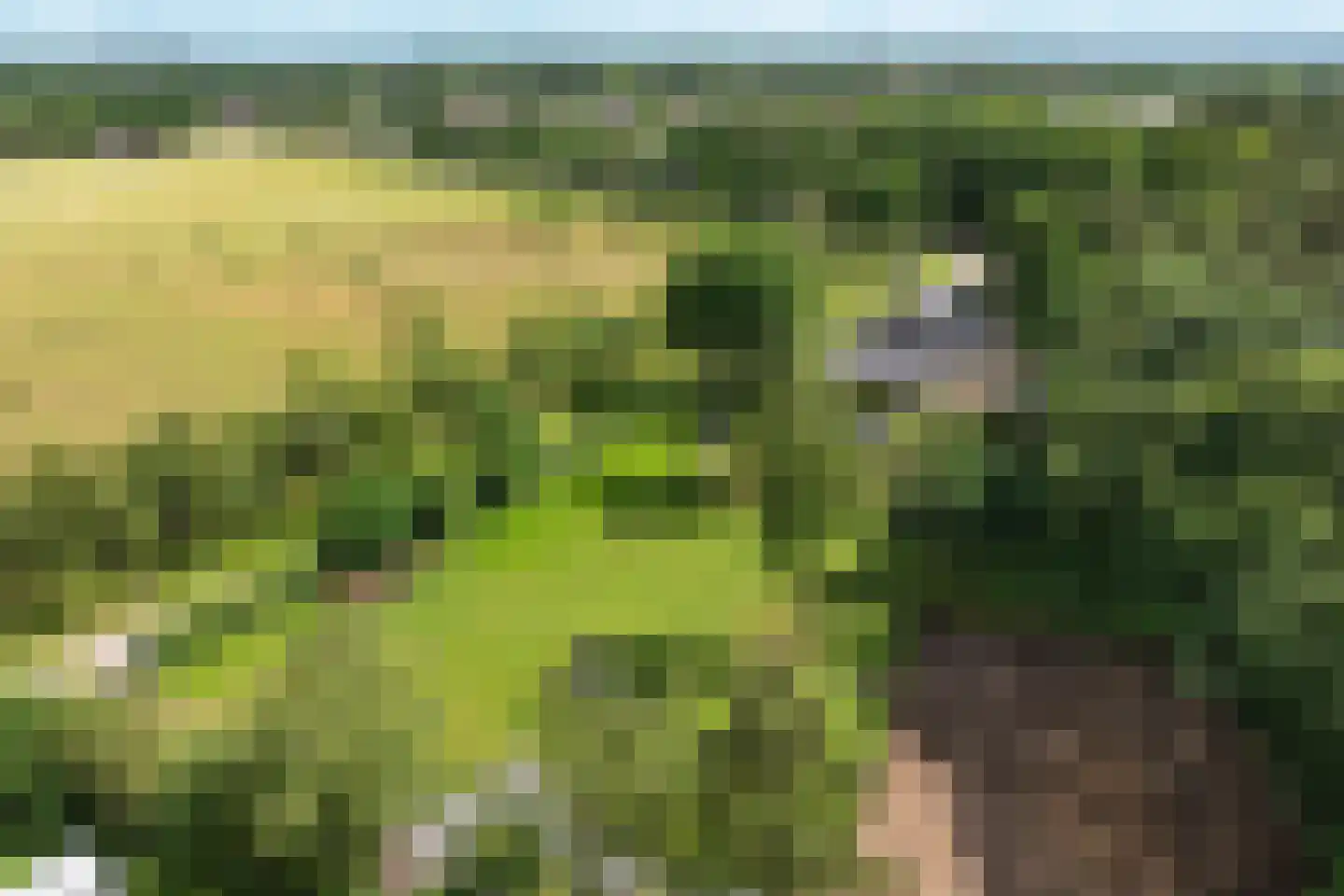 Bennekomseweg 147 Renkum thumbnail 71