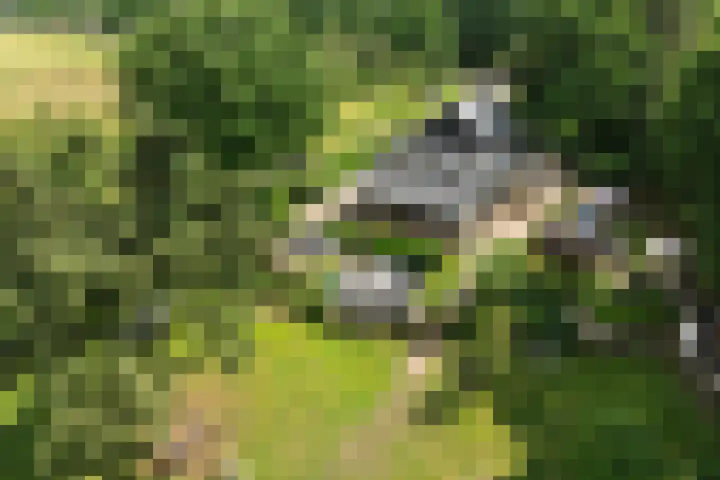 Bennekomseweg 147 Renkum thumbnail 72