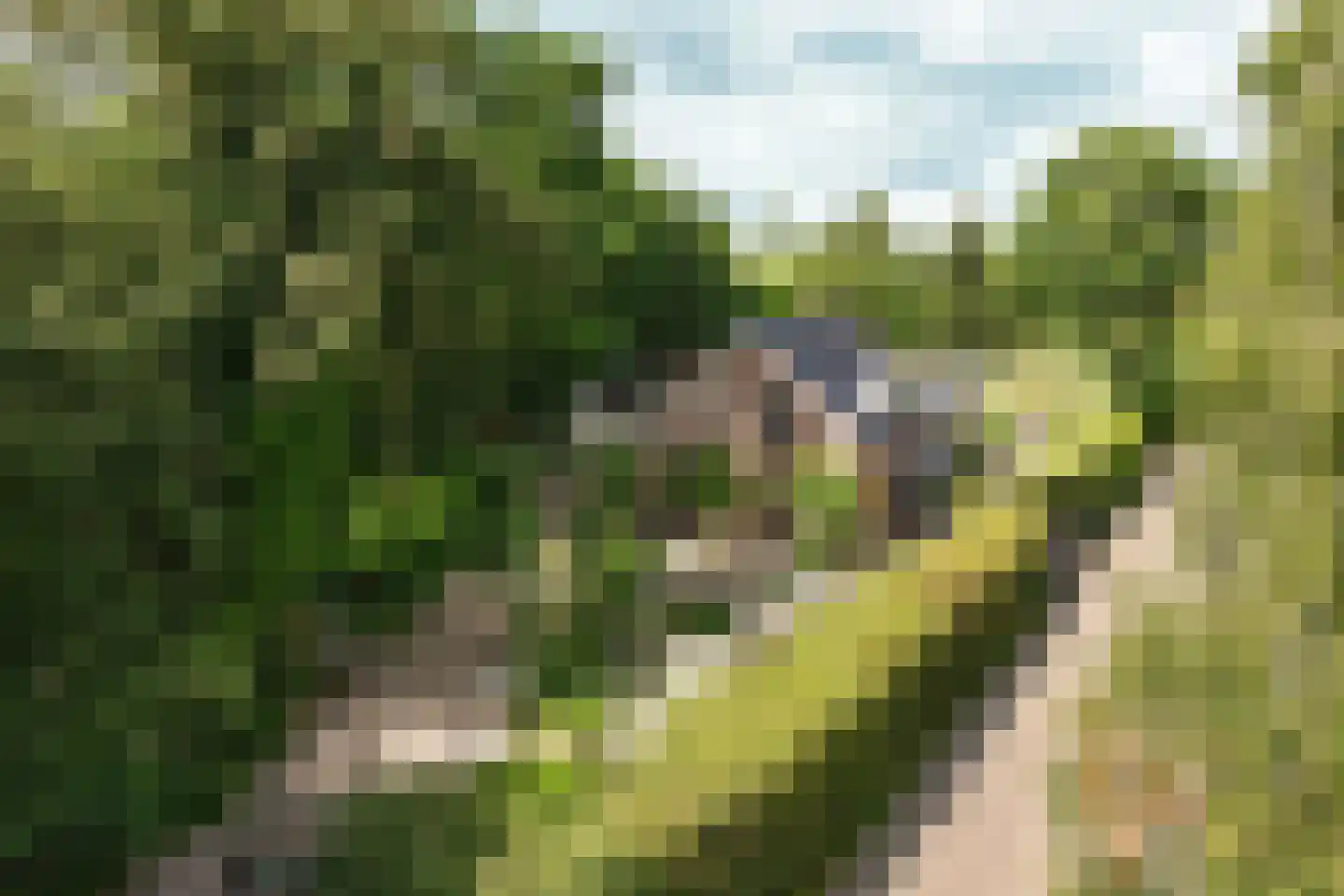 Bennekomseweg 147 Renkum thumbnail 73
