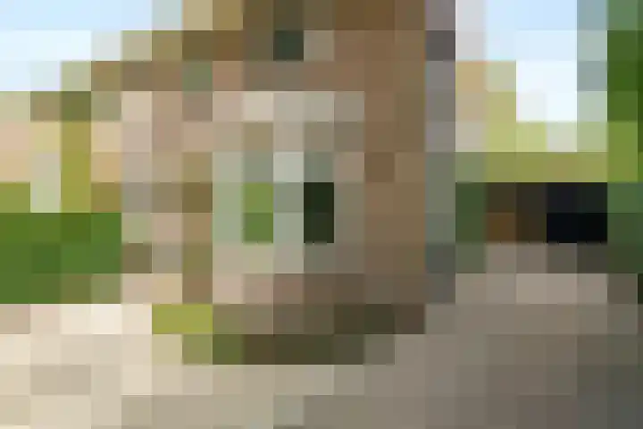 Bennekomseweg 150 Wageningen thumbnail 11