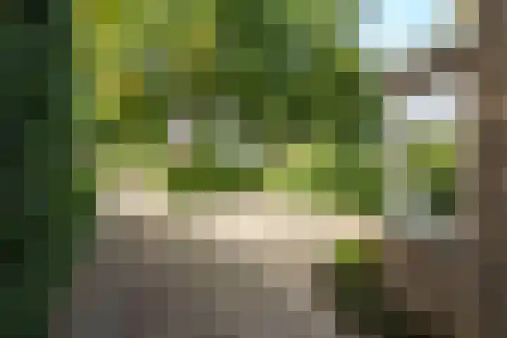 Bennekomseweg 150 Wageningen thumbnail 12