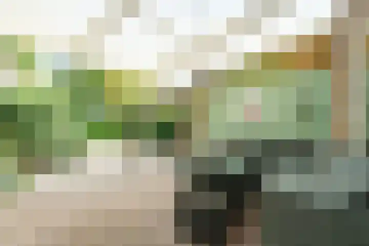 Bennekomseweg 150 Wageningen thumbnail 33