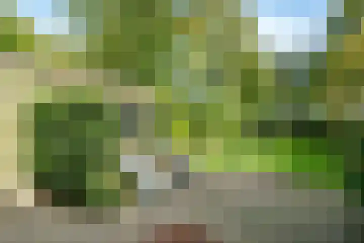 Bennekomseweg 150 Wageningen thumbnail 34