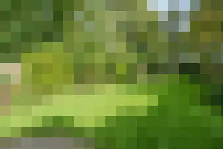 Bennekomseweg 150 Wageningen thumbnail 35