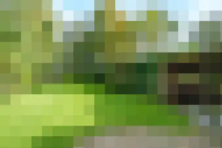 Bennekomseweg 150 Wageningen thumbnail 36