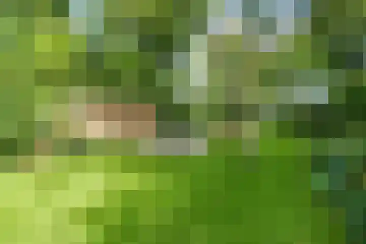 Bennekomseweg 150 Wageningen thumbnail 37