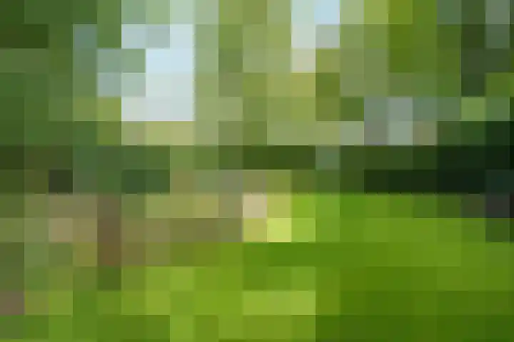 Bennekomseweg 150 Wageningen thumbnail 38
