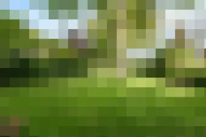 Bennekomseweg 150 Wageningen thumbnail 40