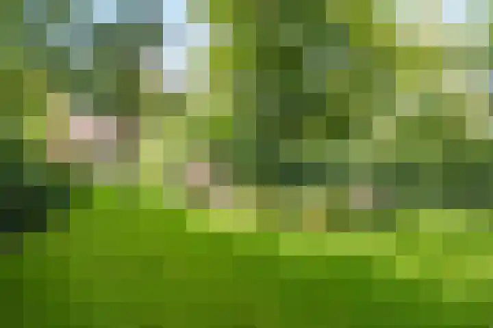 Bennekomseweg 150 Wageningen thumbnail 41