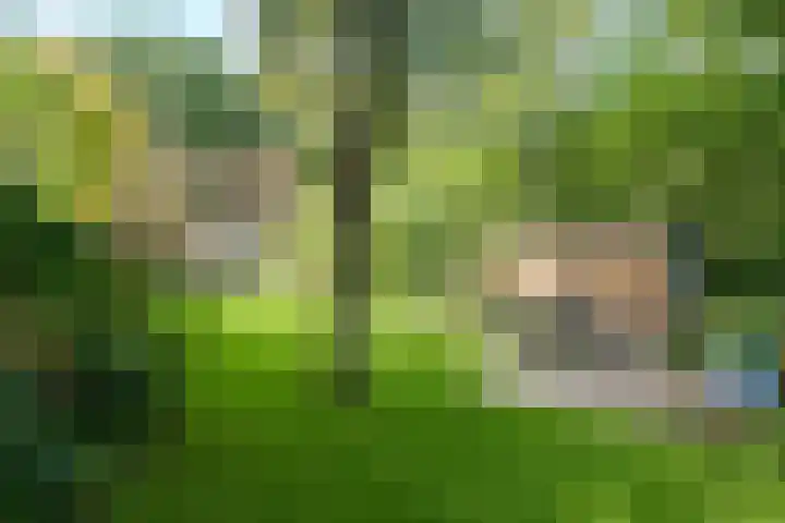 Bennekomseweg 150 Wageningen thumbnail 42
