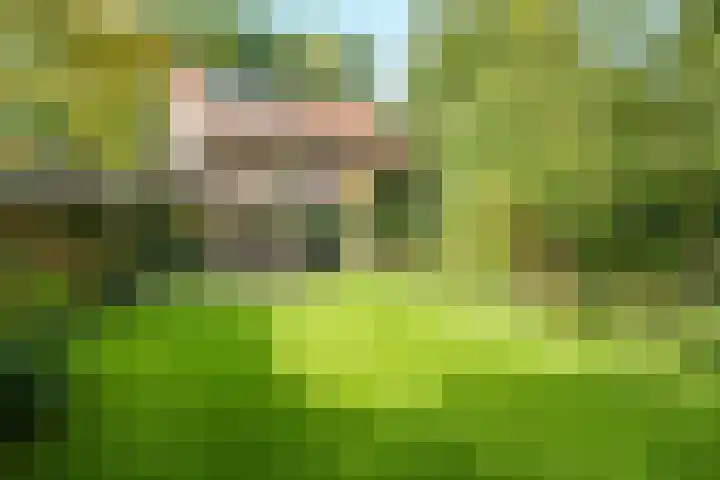 Bennekomseweg 150 Wageningen thumbnail 43