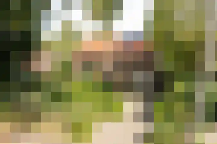 Bennekomseweg 150 Wageningen thumbnail 47