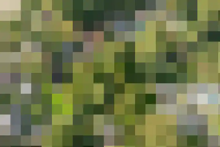 Bennekomseweg 150 Wageningen thumbnail 51