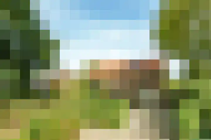 Bennekomseweg 150 Wageningen thumbnail 7