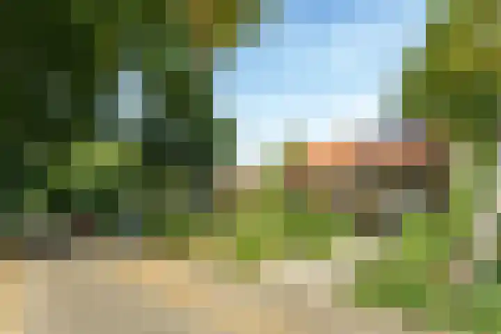 Bennekomseweg 150 Wageningen thumbnail 8