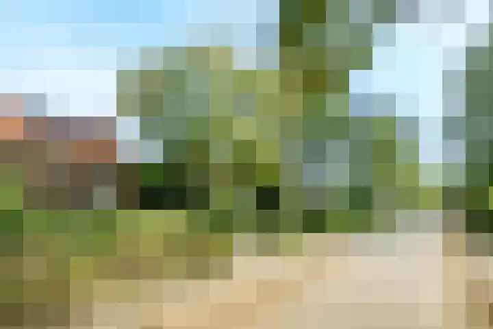 Bennekomseweg 150 Wageningen thumbnail 9