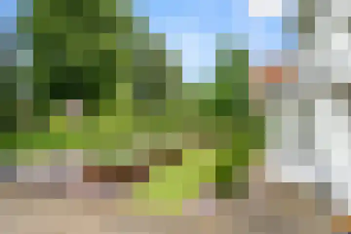 Bennekomseweg 18 Ede thumbnail 10