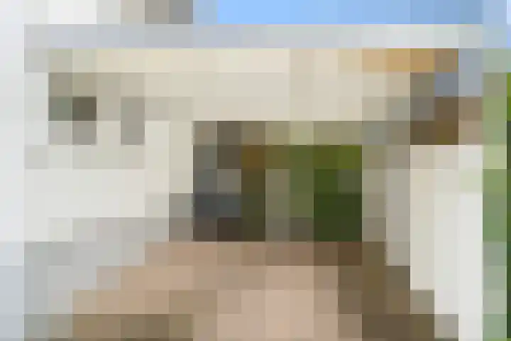 Bennekomseweg 18 Ede thumbnail 11