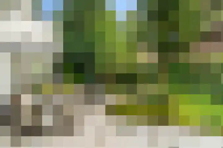 Bennekomseweg 18 Ede thumbnail 13