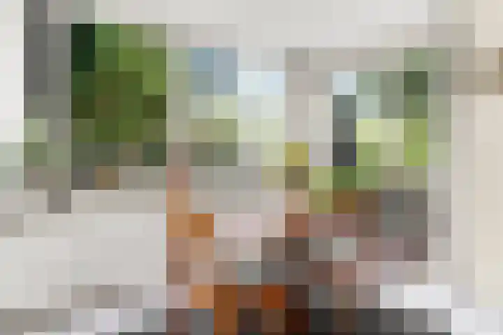 Bennekomseweg 18 Ede thumbnail 23