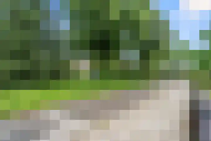Bennekomseweg 18 Ede thumbnail 7