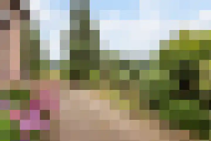 Bennekomseweg 182 Wageningen thumbnail 44