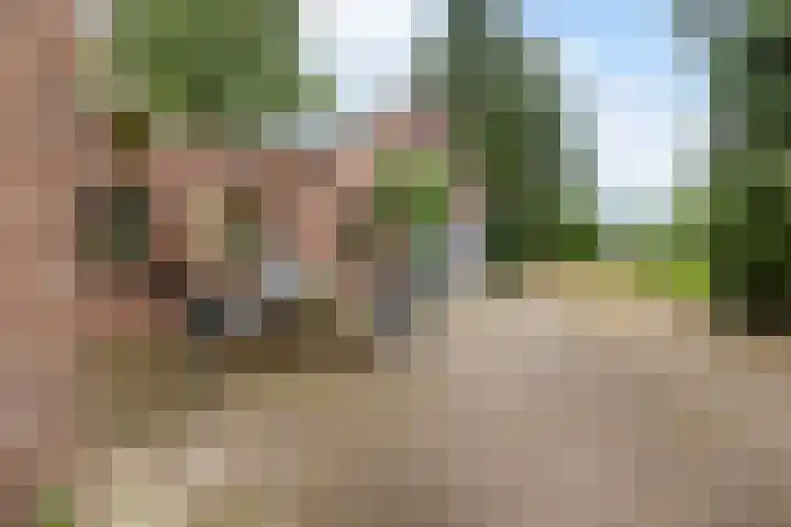 Bennekomseweg 182 Wageningen thumbnail 47