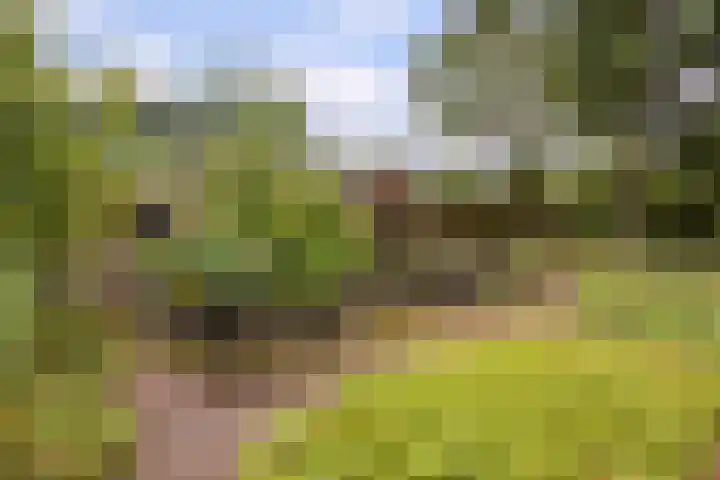 Bennekomseweg 182 Wageningen thumbnail 48