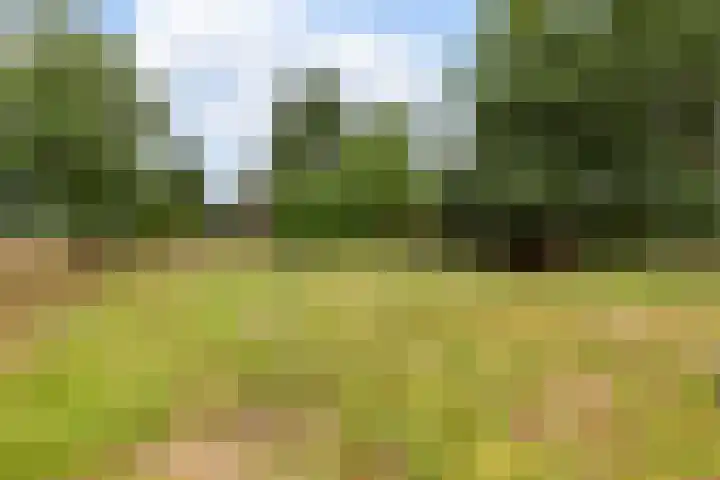 Bennekomseweg 182 Wageningen thumbnail 56