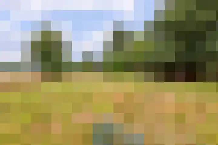 Bennekomseweg 182 Wageningen thumbnail 57