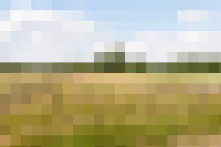 Bennekomseweg 182 Wageningen thumbnail 60