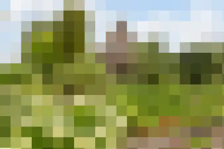 Bennekomseweg 182 Wageningen thumbnail 68