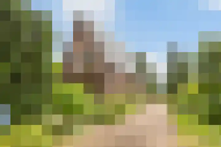 Bennekomseweg 182 Wageningen thumbnail 70