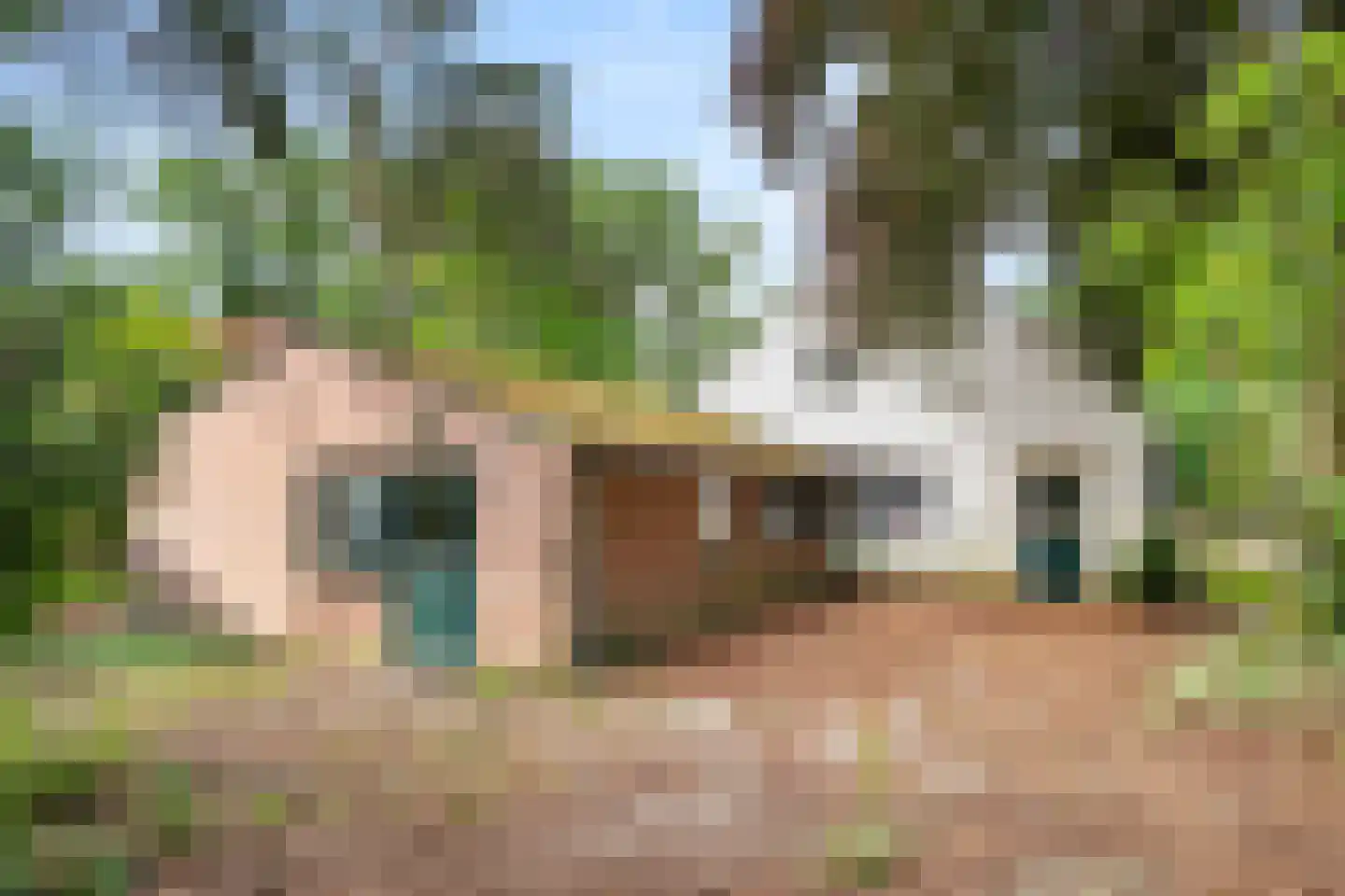 Bennekomseweg 23 Heelsum thumbnail 24
