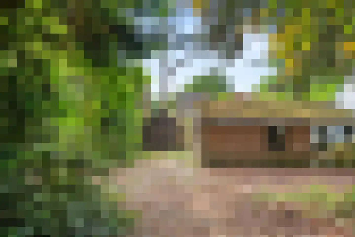 Bennekomseweg 23 Heelsum thumbnail 25