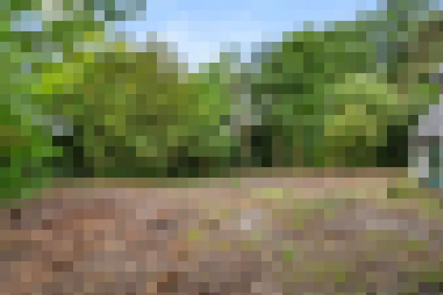 Bennekomseweg 23 Heelsum thumbnail 29