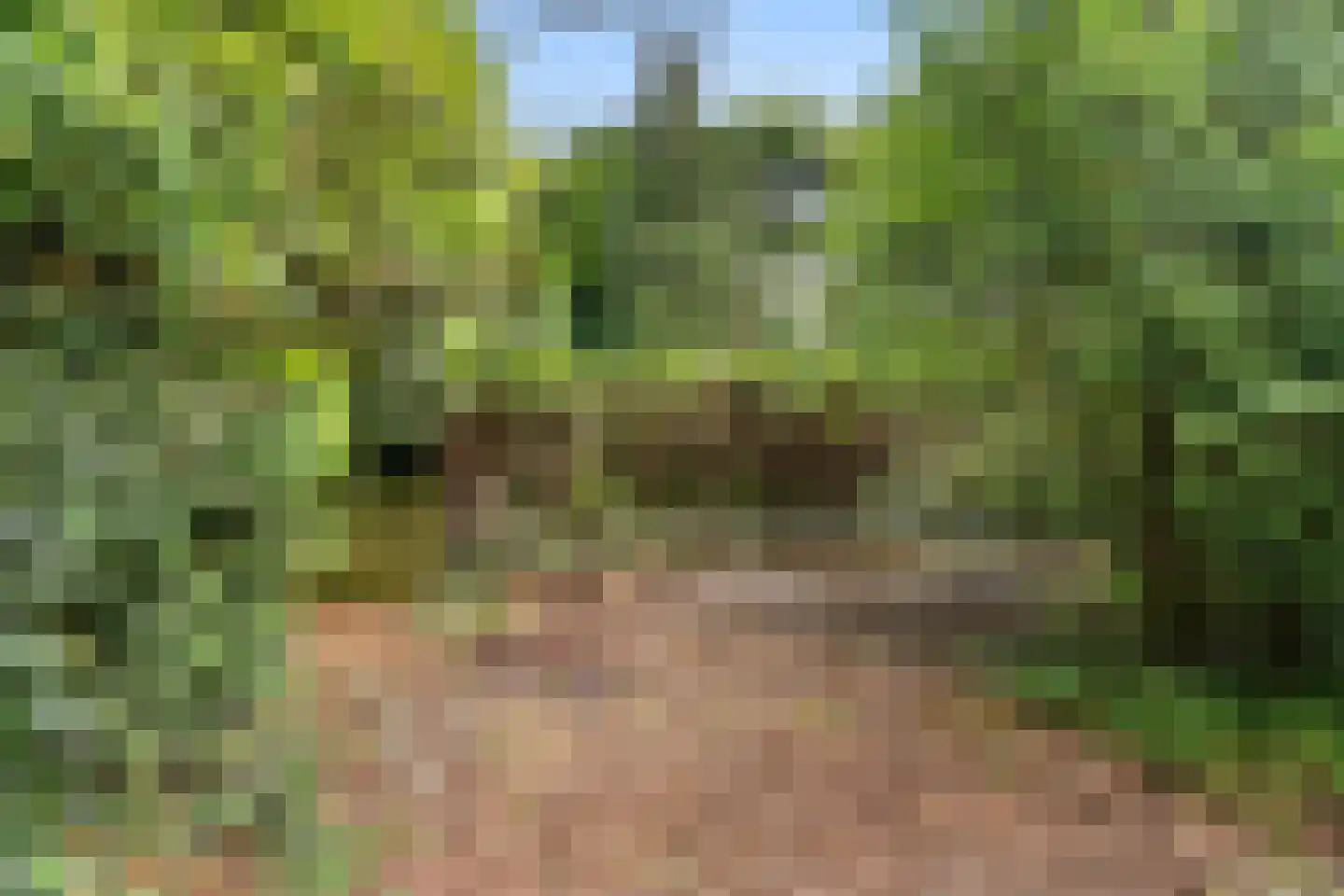 Bennekomseweg 23 Heelsum thumbnail 30