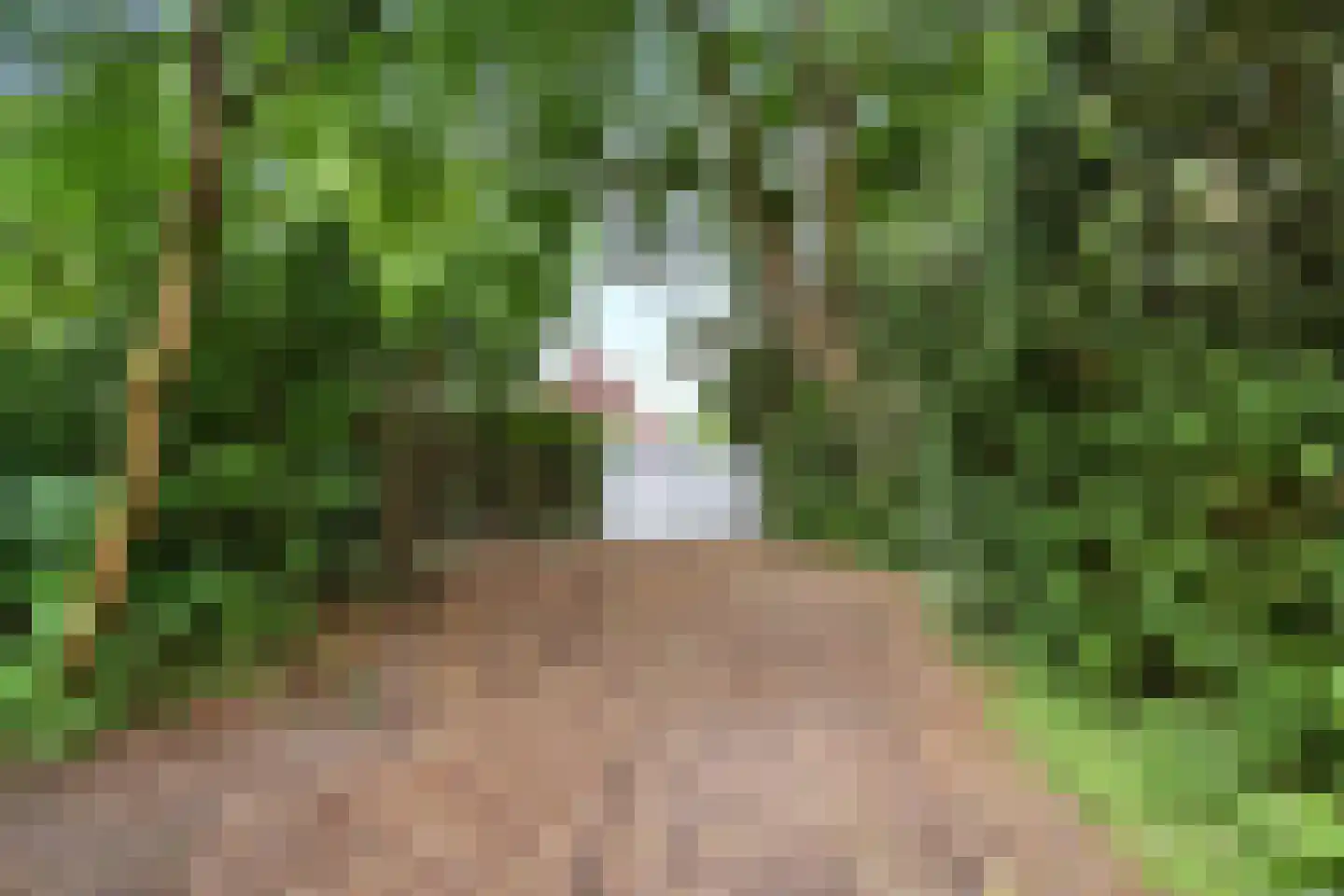 Bennekomseweg 23 Heelsum thumbnail 31