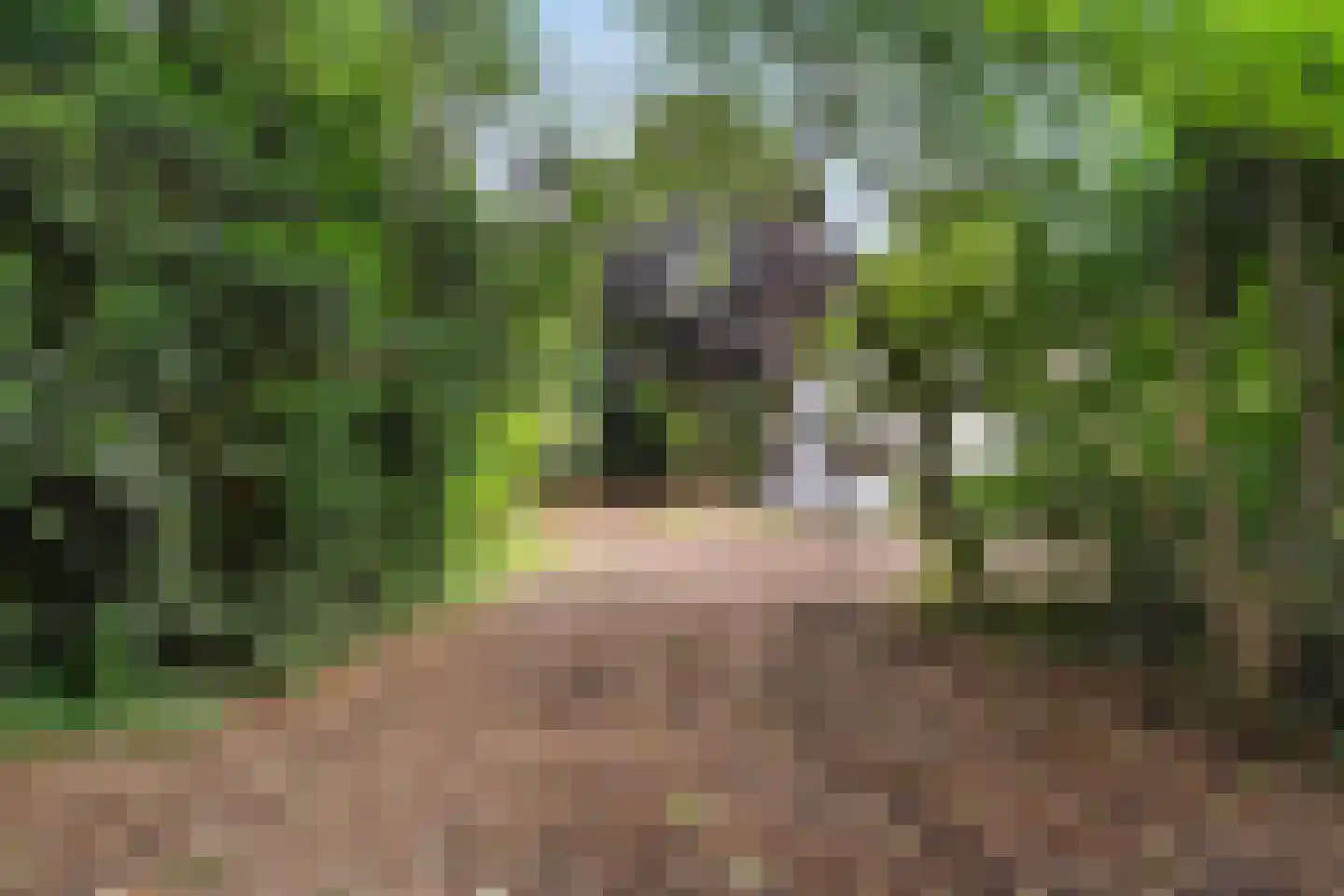 Bennekomseweg 23 Heelsum thumbnail 32