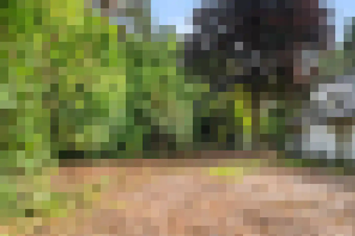 Bennekomseweg 23 Heelsum thumbnail 33
