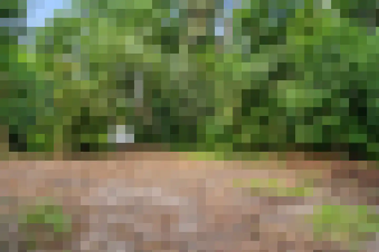 Bennekomseweg 23 Heelsum thumbnail 34