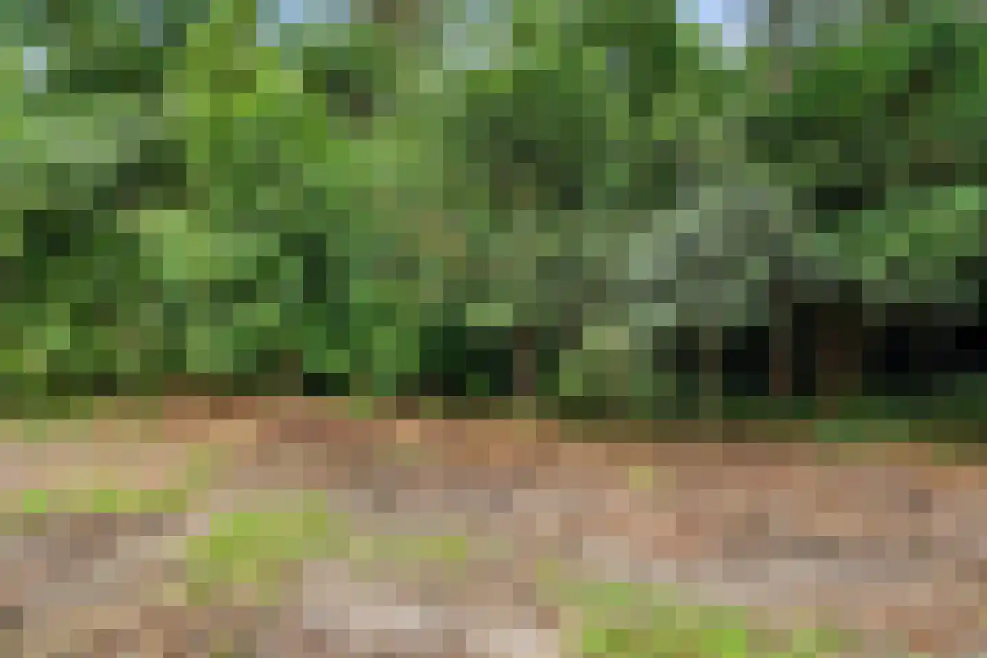 Bennekomseweg 23 Heelsum thumbnail 35